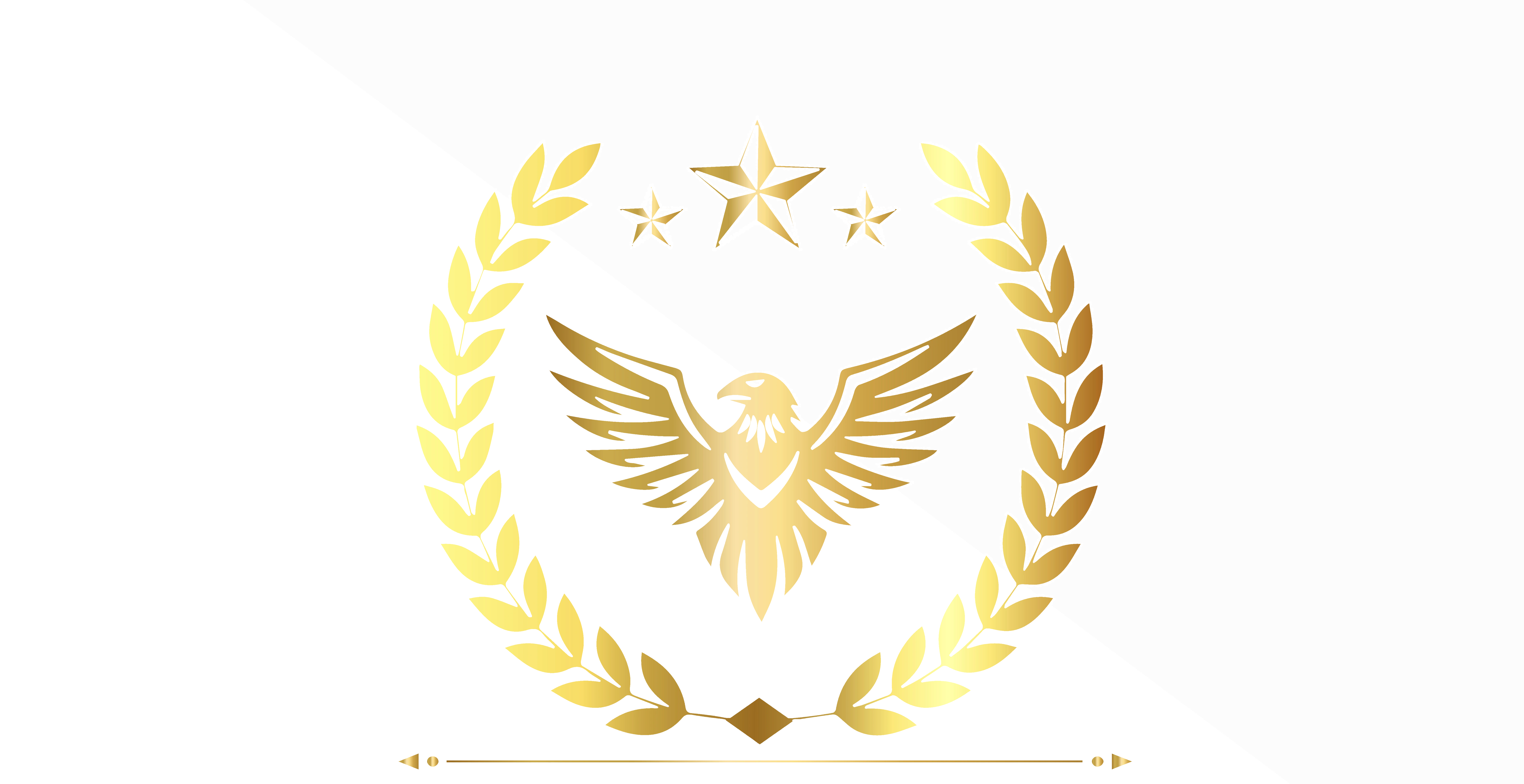 NIO International Organization